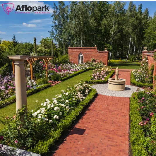 Zwiedzanie ogrodu - Aflopark Pabianice